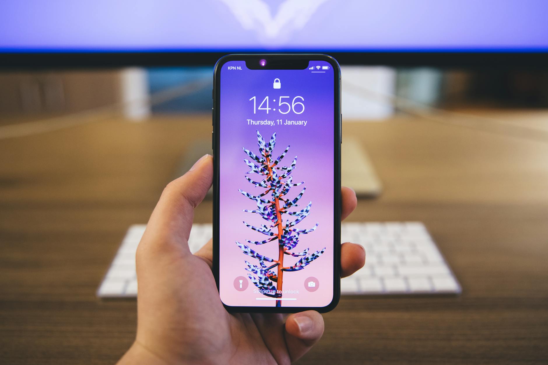 Panserglas til iPhone 18 – Bedste valg, fordele og prisguide