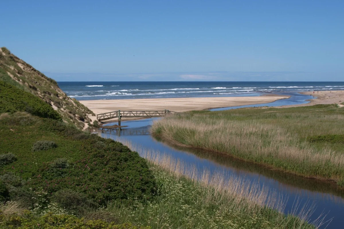 scenic view of lonstrup beach and dunes denmark