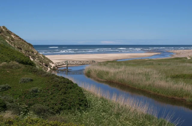 scenic view of lonstrup beach and dunes denmark